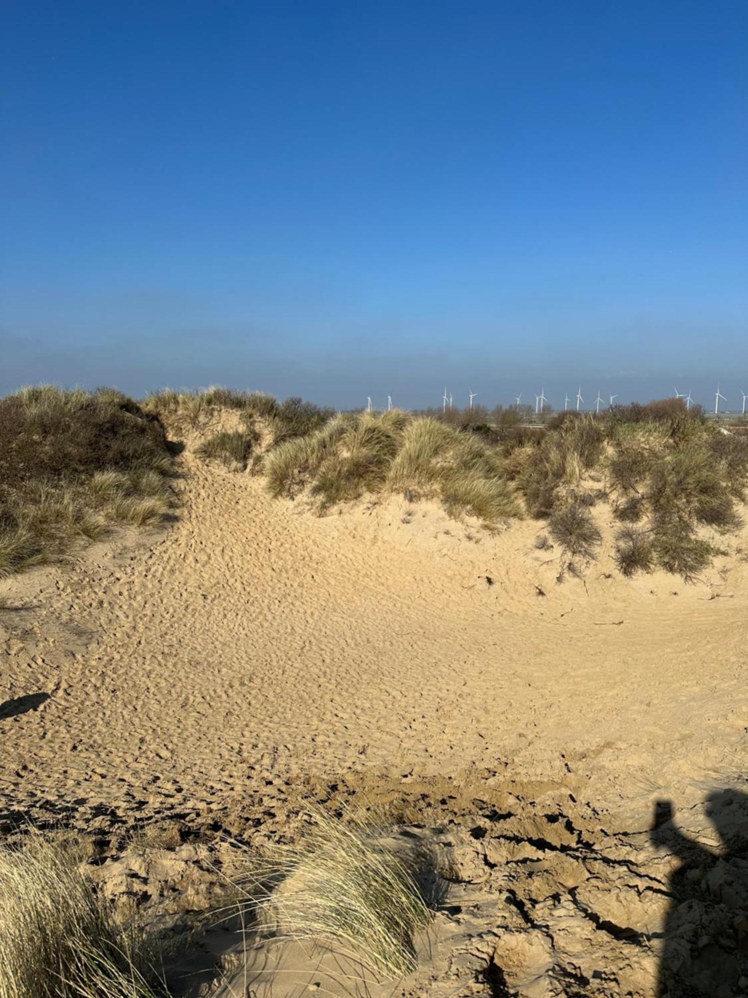 Willerby Castleton,Camber Sands- Sleeps 6 Eksteriør bilde